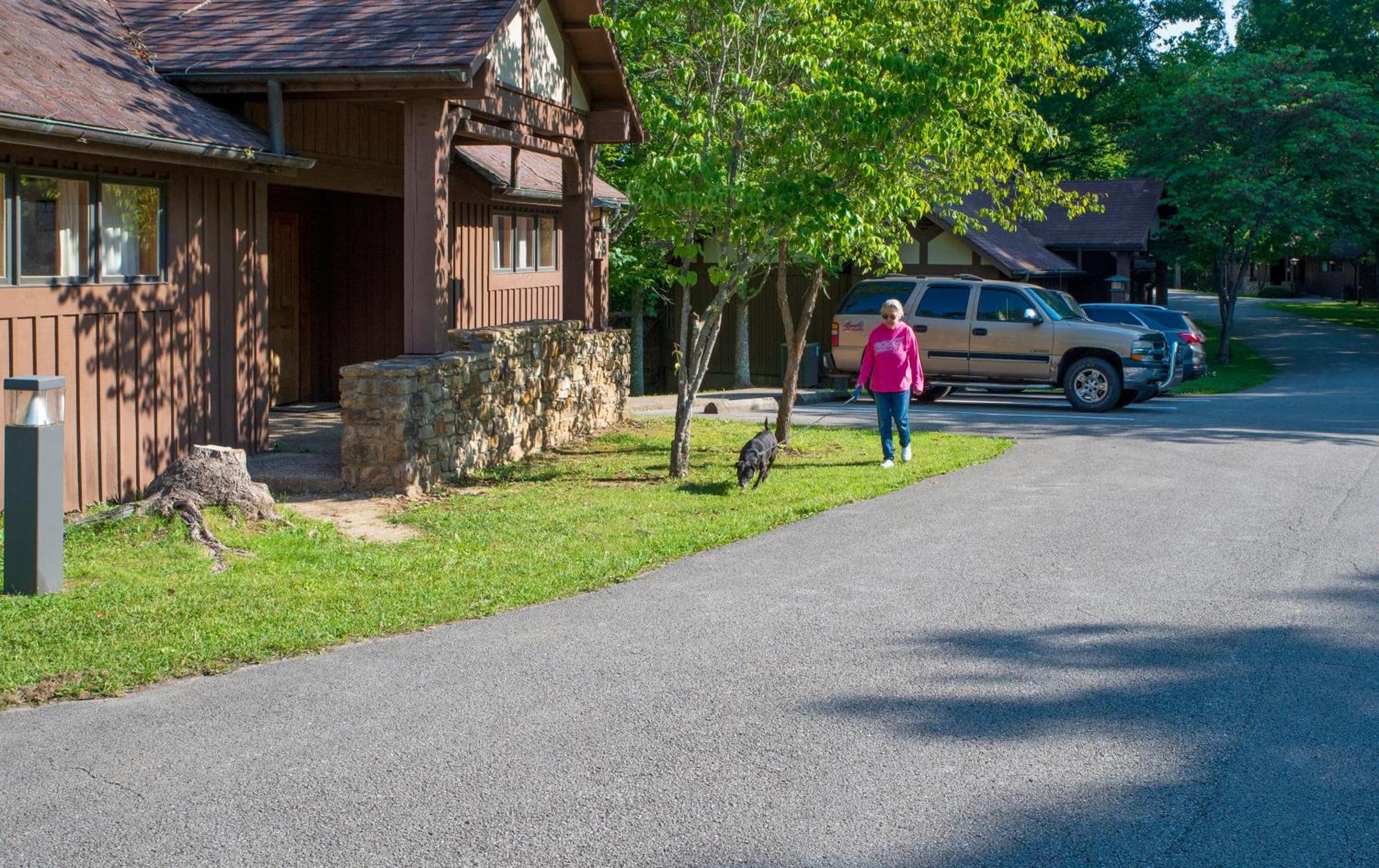 Cumberland Falls State Resort Park Honeybee Εξωτερικό φωτογραφία