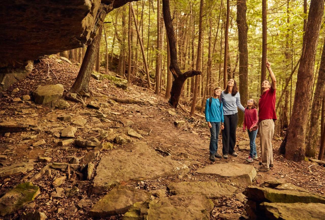 Cumberland Falls State Resort Park Honeybee Εξωτερικό φωτογραφία